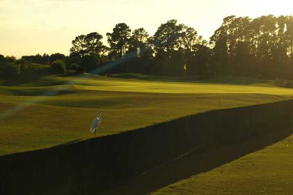 Grand Cypress New Course in Orlando - hole 1