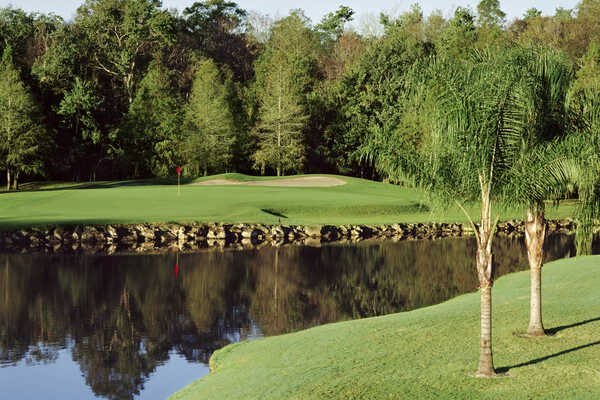 Walt Disney World - Palm Course