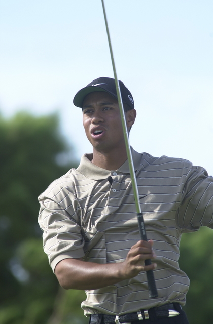 Tiger Woods - golf dad