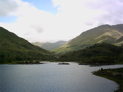 Fyne Cruises