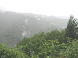 Great Smoky Mountains