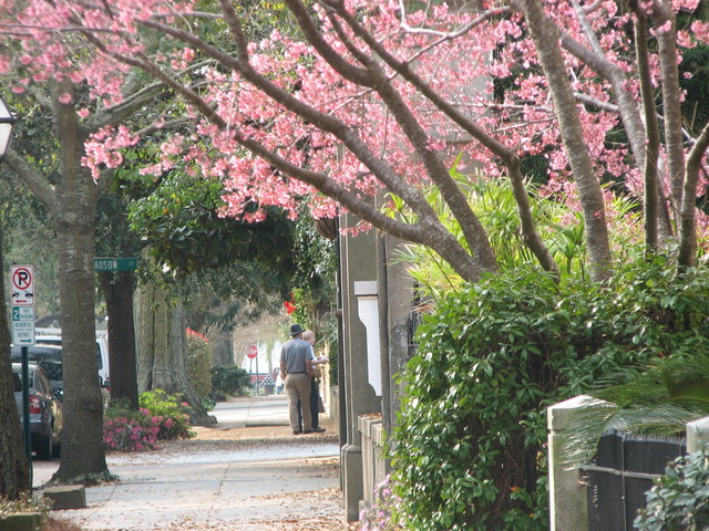 Downtown Charleston, South Carolina