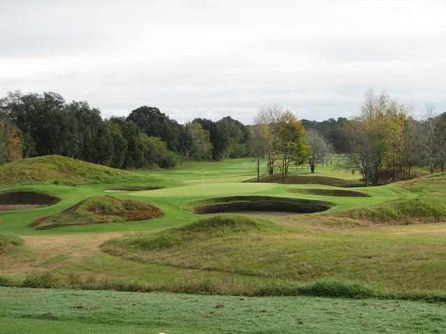 Golden Ocala