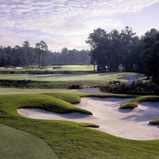 Leopard's Chase golf course - bunker