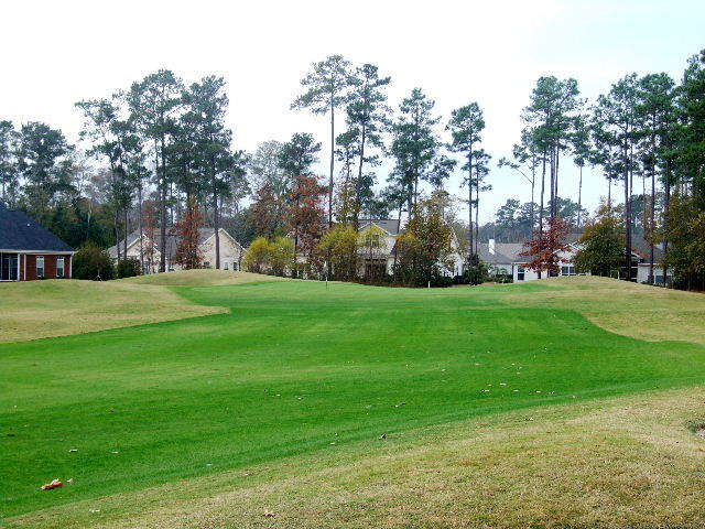 Wachesaw East - Par 4