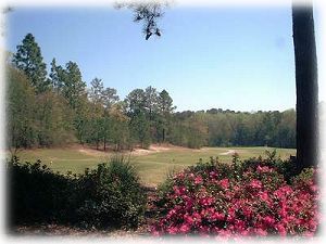 Lost Plantation Golf Club