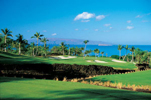 Wailea Golf Club - Gold course - Hole 8