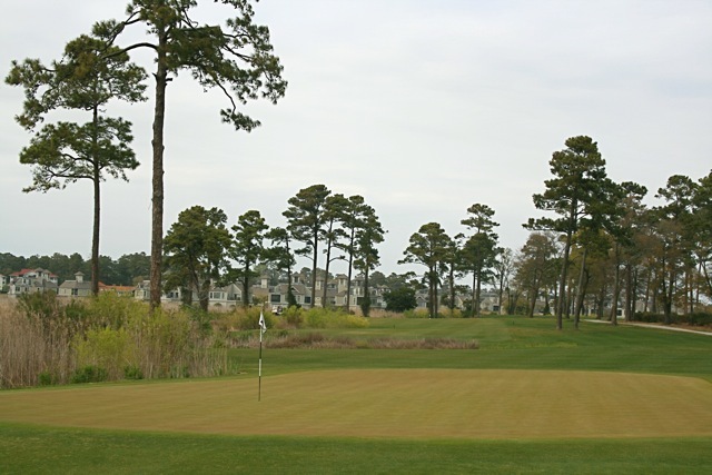 Tidewater Golf Club - Marsh