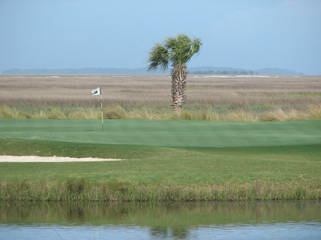 The Landings' Marshwood Course - Marshes