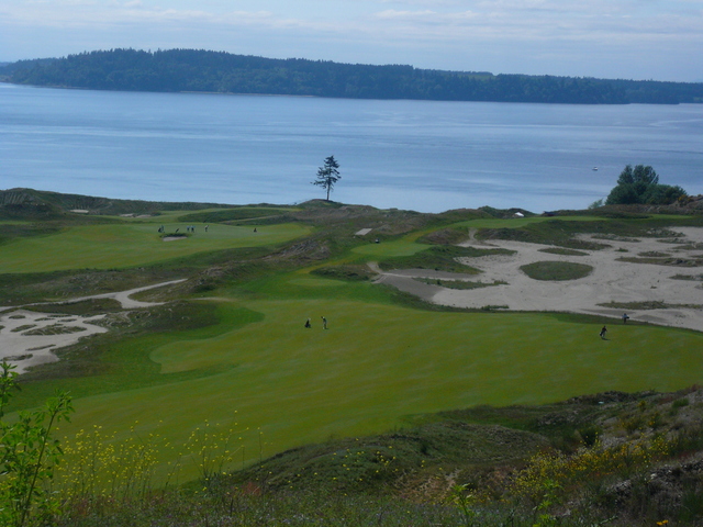 Chambers Bay Golf Course