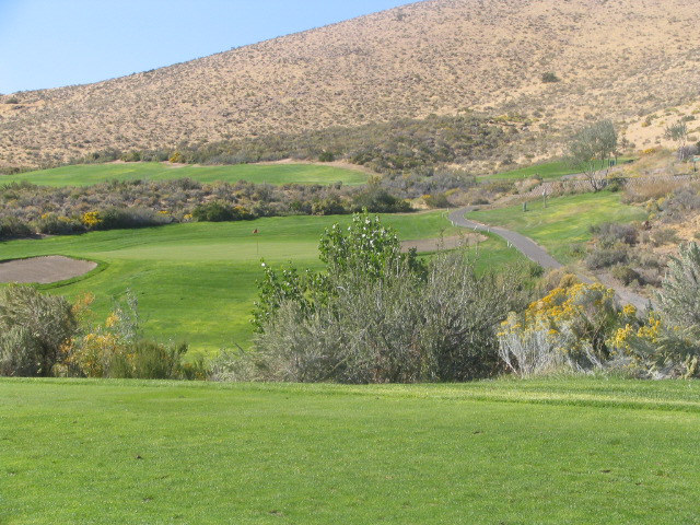 Divine Nine - Carson Valley - Golf Courses