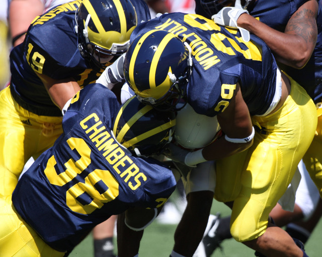 Michigan Wolverines - The Big House