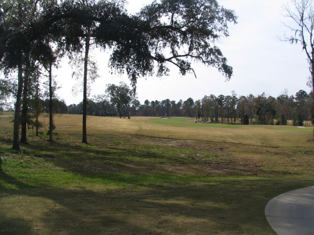 Georgia - top-10