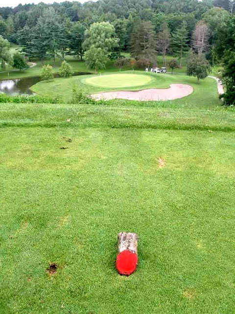 Forward Golf Tees