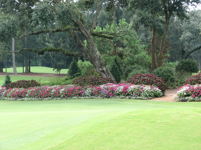 Caledonia Golf and Fish Club