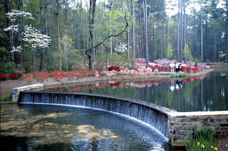 Callaway Gardens - Azalea Bowl