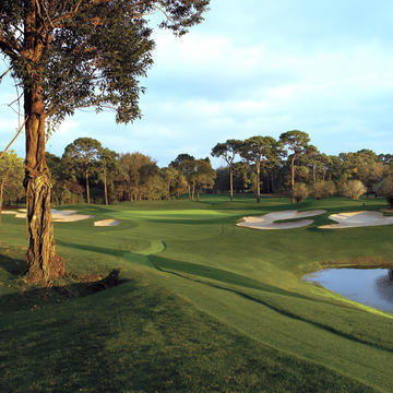 Innisbrook's Copperhead Golf Course - Hole 15