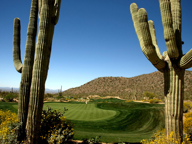 Ritz-Carlton Golf Club's Tortolita Course - No. 6