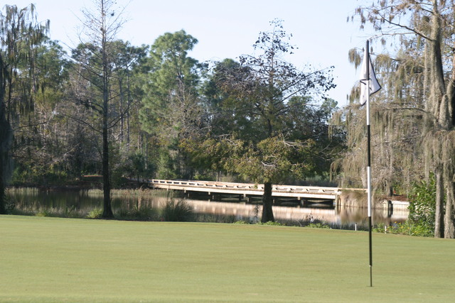 Tiburon Golf Club - Black course