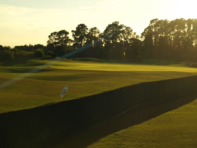Grand Cypress New Course No. 1