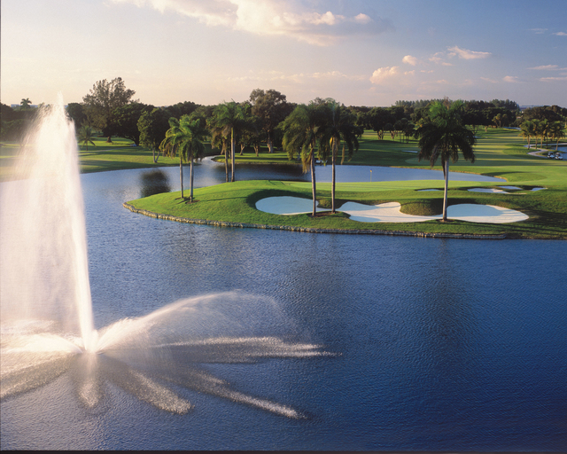 TPC Blue Monster golf course at Doral - hole 8