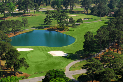 Myrtlewood Golf Club - Palmetto