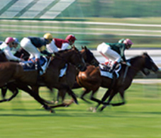 Horse racing