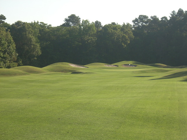 Avocet Course at Wild Wing Golf Plantation - hole 1