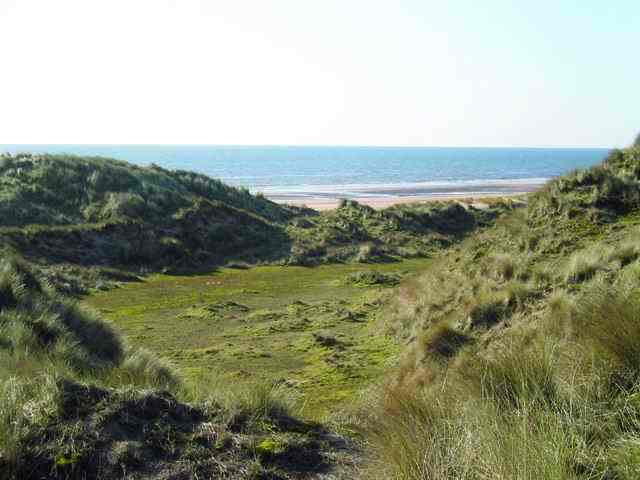 Trump site - Aberdeen