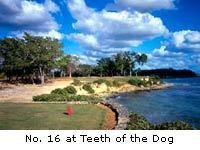 Teeth of the Dog