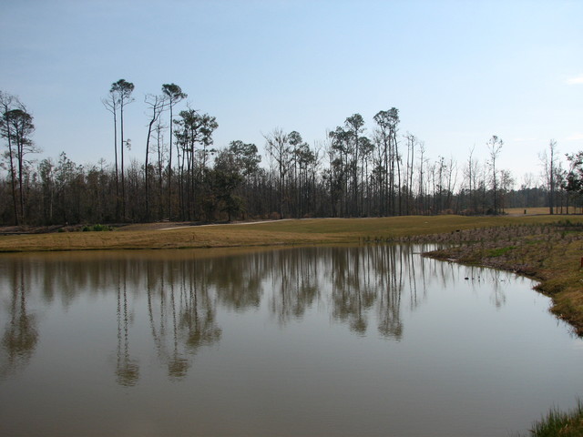 from the rough