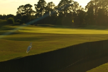 Grand Cypress New Course in Orlando - hole 1