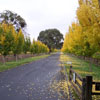 Far Niente Winery