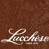 Lucchese
