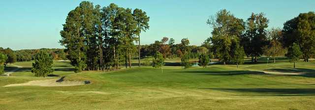Hollows GC - Road: #6