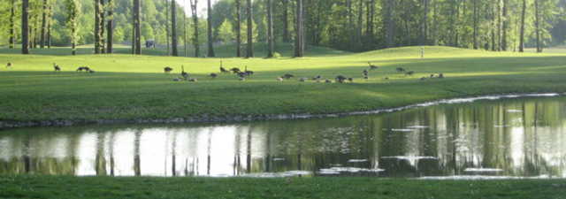 Sweetbriar Golf - Sweetbriar
