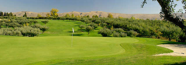 Apple Tree GC: #4