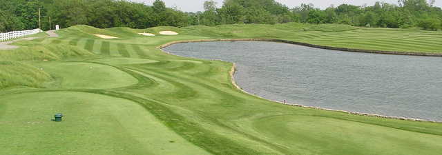 Bear Slide GC
