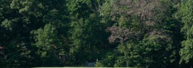 Arrowhead GC: #2