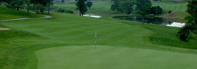 Bull At Boone's Trace: #18