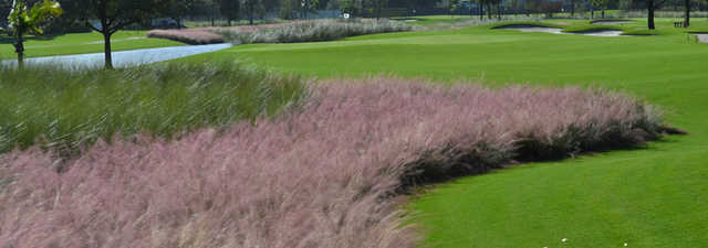 Seven Bridges at Springtree GC: #15