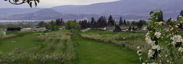 McCulloch Orchard Greens GC