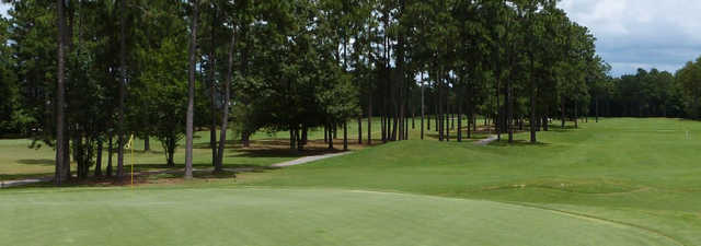 Pine Forest CC