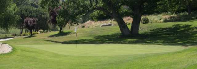Horse Thief CC: #9