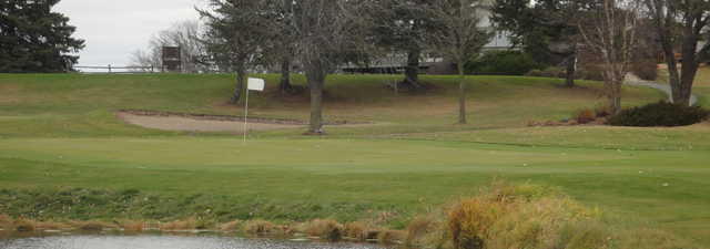 Purple Hawk: #9