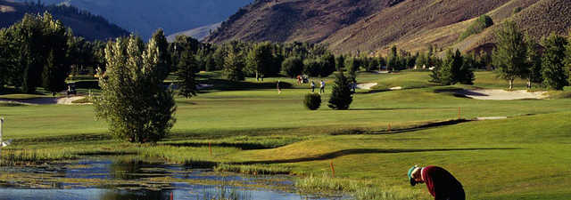 Goodwin GC