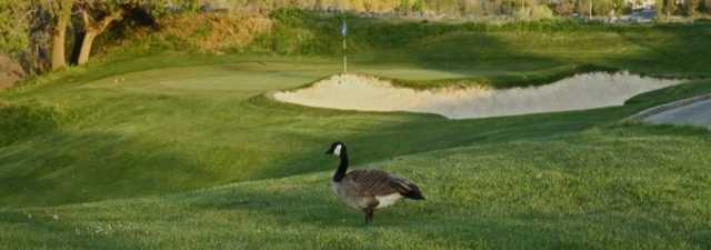 Lone Tree GC