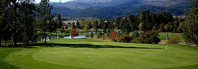 Springfield CC: #5