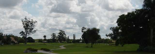 Hibiscus GC: #4