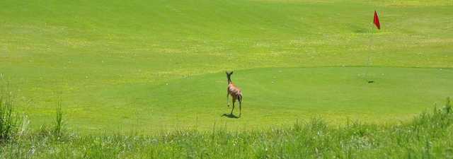 Tega Cay GC: Driving range